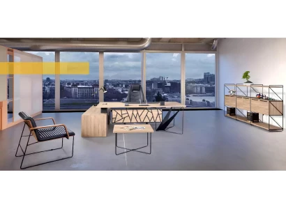 Nowoczesna drewniana biblioteka biurowa
