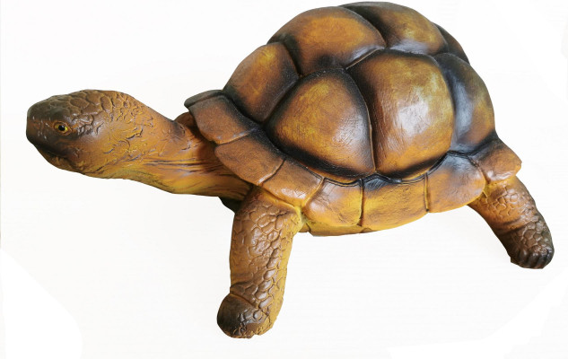 Żółw Zoo Ogród Figurka Zwierzę Ręcznie Malowana Rzeźba Dekoracja Statua Dekoracja