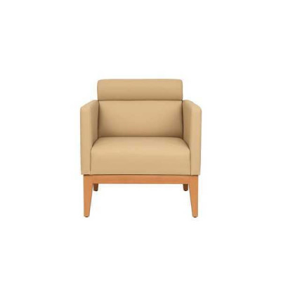 Beiger ClubFotel Relaks 1-miejsce siedzące Designer Fotel Living Room miejsce siedzące
