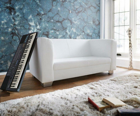 Sofa Couch Design Podkładka Modern Skóra Sofy 2 miejsce do siedzenia Dwumiejscowa Designerska Nowość
