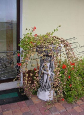 Roślina doniczkowa naturalna dekoracja doniczki figura doniczki wazony ogrodowe