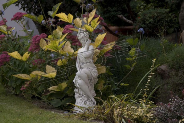 Eva Sculpture Design Rysunek Statua Figury ogrodowe Posągi Rzeźby