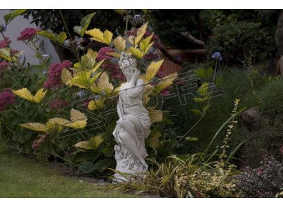 Eva Sculpture Design Rysunek Statua Figury ogrodowe Posągi Rzeźby