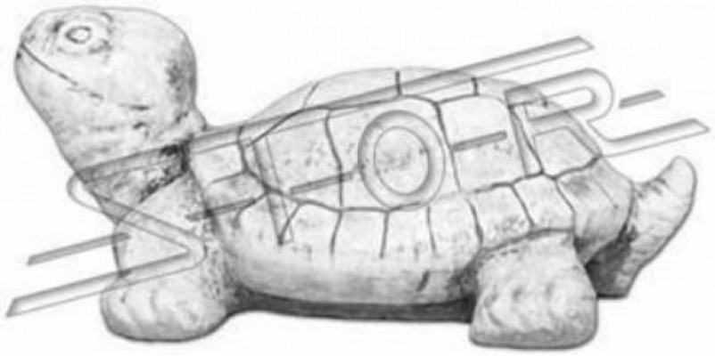 Dekoracja ogrodowa statua żółwia rzeźba figury rzeźby rysunek projektowy