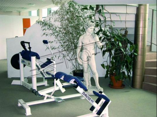 Adam 170cm rzeźba projekt rysunek statua figury ogrodowe posągi