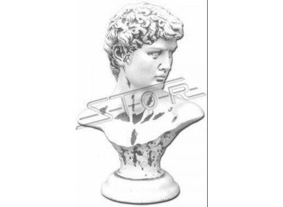 Aleksander w dużym popiersiu statua figury rysunek rzeźby rzeźby
