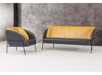 Nowoczesny luksusowy zestaw wypoczynkowy dwumiejscowy Fotel Study Design Meble 2+1