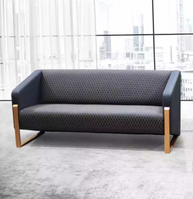 Sofa 2 miejsce do siedzenia Luksusowe Meble Kanapa Nowoczesne Designerskie Meble Biurowe
