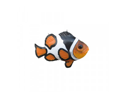 Stojak Amphiprion Zoo Auqarium Rzeźba Rzeźba Ryby Statua Figurki 120cm
