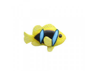 Anemon Fish Ocean Egzotyczne ryby Wyświetlacz Akwarium Zoo Rzeźby Posągi