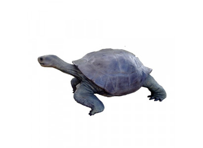Żółw Figura Dekoracyjna Posągi Rzeźba Ogrodowa Figurki Dekoracyjne 60x140cm Nowość
