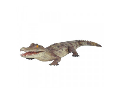 Krokodyl Dekoracja ogrodowa Naturalnej wielkości statua Figurki Rzeźba 198 cm Posągi Figu