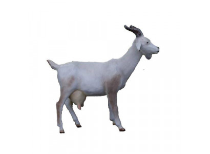 Koza Dekoracyjna Figurka Figurki Ogrodowe Figurki 120 cm Naturalnej Wielkości Figura Plastikowa