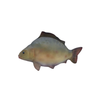 Dekoracyjna nowoczesna piękna rzeźba ryby, figurkiWysokość 60 cm.