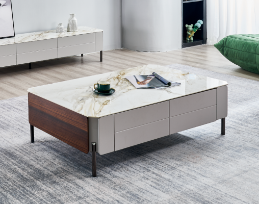 stolik kawowy Stolik Designer Stolik 80x40 Stoliki do kawy Modern