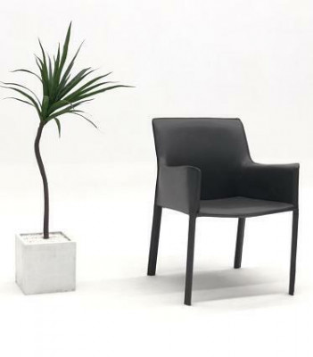 Design Lehn Krzesła Podkładka Jadalnia Pokój Club Kuchnia Lounge Living Meble Krzesło Fotel