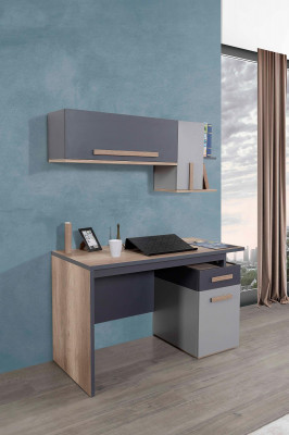Biurko Modern Tabela półka ścienna Drewno Młodzieżowy żłobek Meble Design
