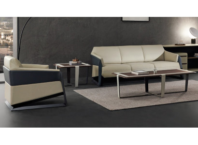 Design Zestaw sofowy 31 miejsce do siedzenia Zestaw Sofy Podkładka Kanapy Relaks Modern