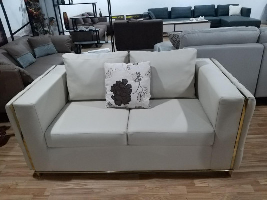 Sofa dwuosobowa designerska 2 miejsce do siedzenia Sofa Podkładka Ustawić Sofy Kanapy