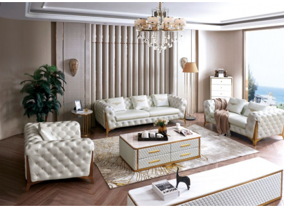 Włoskie Luksusowe Meble Salon Siedziba 3+2+1 Zestaw sofowy Meble Couch