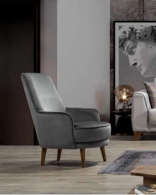 Fotel Siedziba Nowoczesny Design Pokój Dzienny Podkładka Jednoosobowa Relaks Szary Styl Luksus