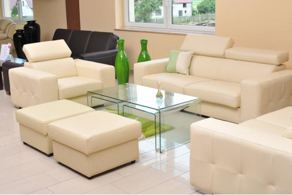 Sofa 2 miejsce do siedzenia Design Sofy Podkładka Kanapy Skóra Relaks Nowoczesna dwuosobowa sofa