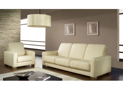 Dwuosobowa kanapa Klasyczna skórzana sofa Kanapa Podkładka Sofa 2 miejsce do siedzenia Skóra