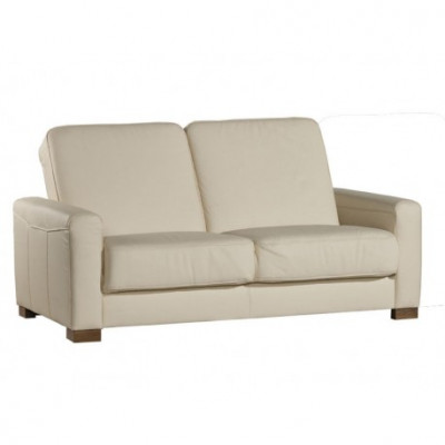 Dwuosobowa kanapa Klasyczna skórzana sofa Kanapa Podkładka Sofa 2 miejsce do siedzenia Skóra