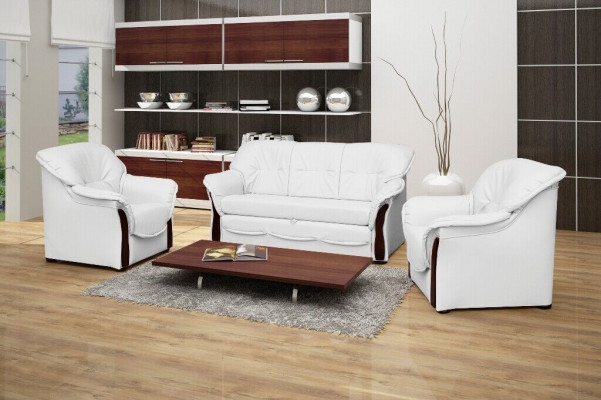 Sofa rozkładana Sofa Podkładka do łóżka Sofy Sofy do spania Kanapa Siedziba Funkcja łóżka New