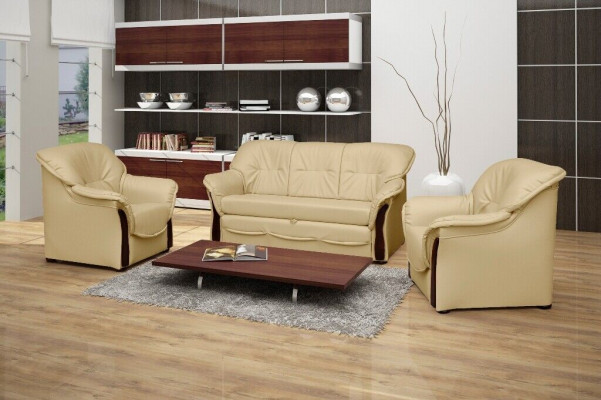 Sofa rozkładana Sofa Podkładka do łóżka Sofy Sofy do spania Kanapa Siedziba Funkcja łóżka New