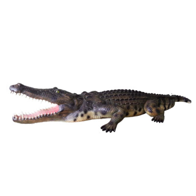 Krokodyl Dekoracja ogrodowa Naturalnej wielkości statua Figurki Rzeźba 320 cm Posągi Rysunek