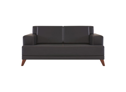 Sofa z podwójnymi siedzeniami z czarnej skóry jednokolorowe nowoczesne sofa Ledesofa drewniana