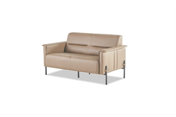 Sofa Beżowa 2-osobowa Sofa Nowoczesna Sofal Tryskająca Siedziba Dwuosobowa Skóra
