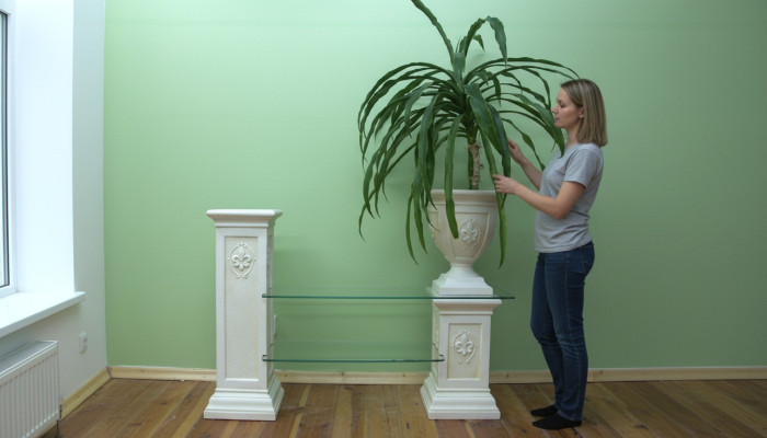 Design Galota Półka Szkło Kolumna Szafa Prezentuje Półki Szafa Salon 1801