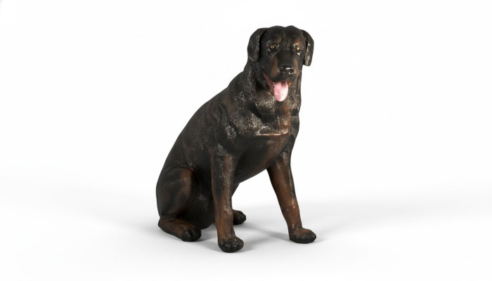 Projekt Rotweiler figurka psa statua rzeźba figurki rzeźby dekoracja 3007