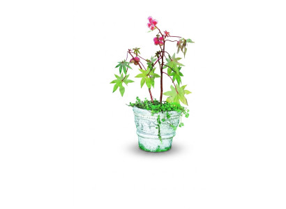 Doniczka dekoracja doniczkowa natura figura doniczki wazony ogrodowe