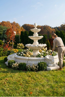 Fontaine dorzecze ozdobna fontanna fontanna fontanna miejski staw rzeźba ogród