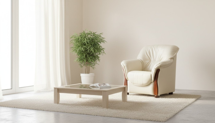 Klasyczna Fotel TV Sofa 1 miejsce do siedzenia Sofa Designer Włókienniczy Sofy Podkładka
