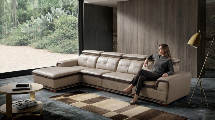 Skóra Kanapa Narożnik Sofa Siedziba Podkładka Ustawić Living Pokój Krajobraz Sofy