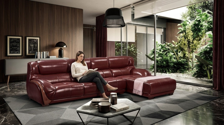 Narożnik Sofa Skóra Podkładka Siedziba Kanapa Ustawić Living Pokój Krajobraz Sofy