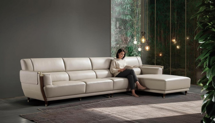 Narożnik Sofa Podkładka Kanapa Projektant Siedziba Narożnik Living Landscape Skóra Kanapy