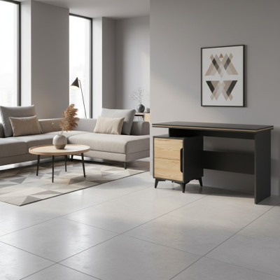 Biurko Biurko komputerowe Modern Design Kolekcja Living Room Stoły komputerowe