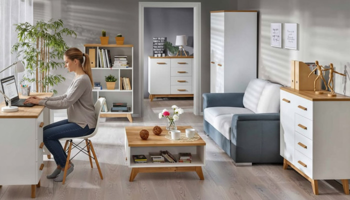 Projekt komody Sideboard Biura Komedia Meble Komody Regał na salon.