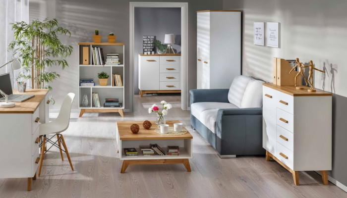 Projekt komody Sideboard Biura Komedia Meble Komody Regał na salon.