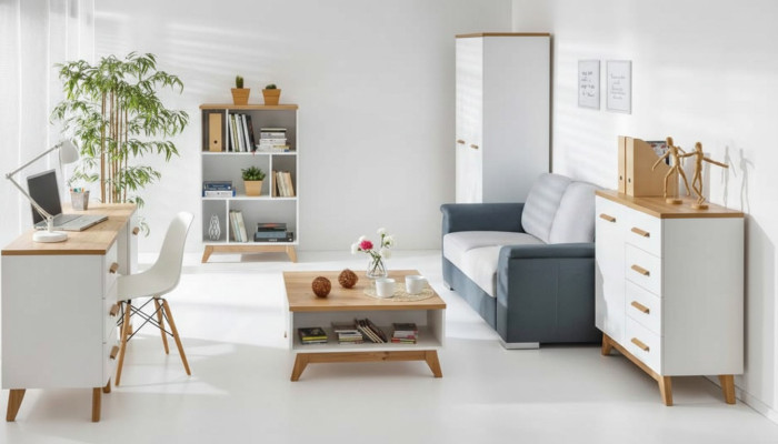 Projekt komody Sideboard Biura Komedia Meble Komody Regał na salon.
