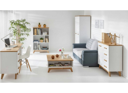 Projekt komody Sideboard Biura Komedia Meble Komody Regał na salon.