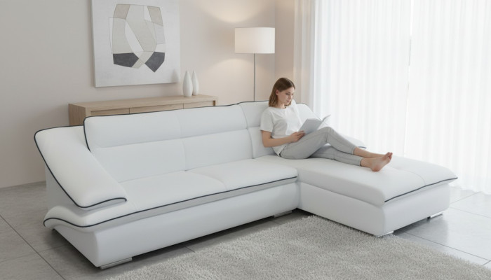 Narożnik Sofa Skóra Kanapa Narożnik Ustawić Narożnik Krajobraz Podkładka Design Living L Shape
