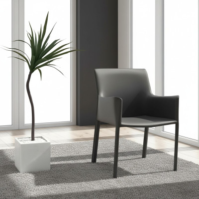 Design Lehn Krzesła Podkładka Jadalnia Pokój Club Kuchnia Lounge Living Meble Krzesło Fotel