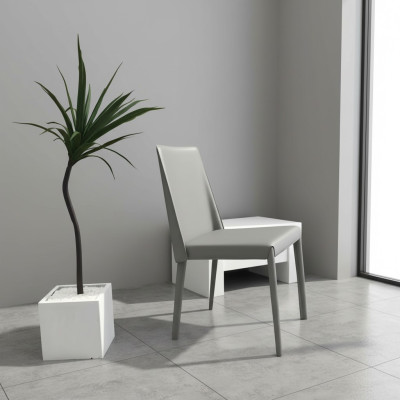Design Krzesło Lehn Krzesła Podkładka Jadalnia Pokój Fotel Club Kuchnia Lounge Living Meble