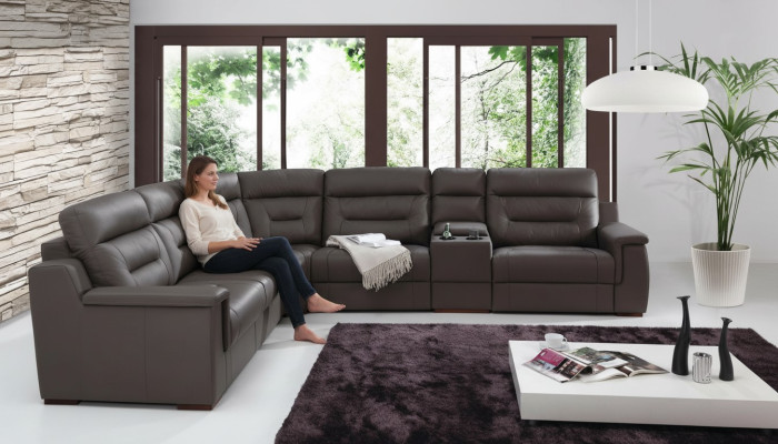 Narożnik Wydzielone miejsce Chłodziarka Funkcja Spania Łóżko Kanapa Sofa Poduchy Wielofunkcyjna sofakąt